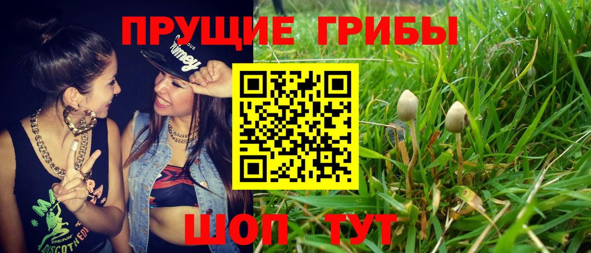 Галлюциногенные грибы MAGIC MUSHROOMS  Псилоцибиновые грибы Psilocybine cubensis  Прокопьевск  Вход с VPN 